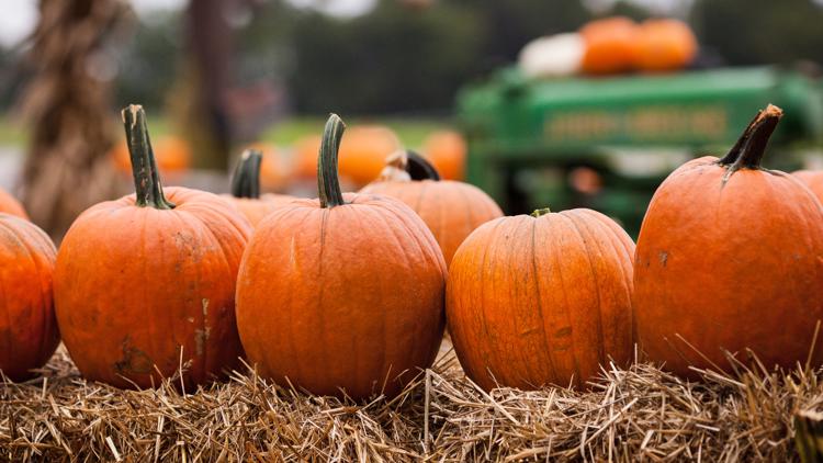 fall-background